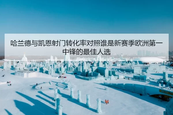 哈兰德与凯恩射门转化率对照谁是新赛季欧洲第一中锋的最佳人选