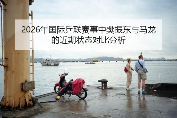 2026年国际乒联赛事中樊振东与马龙的近期状态对比分析
