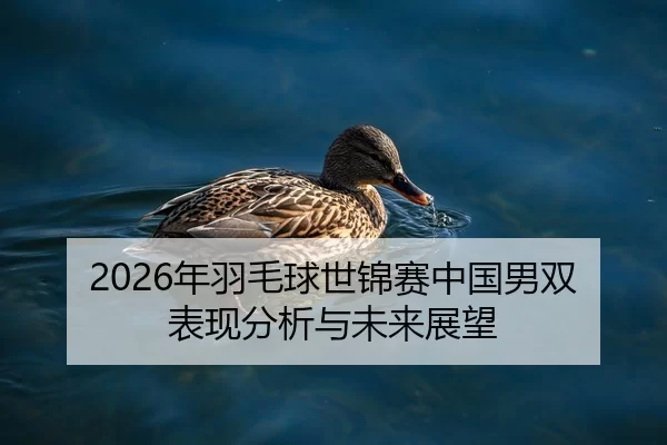 2026年羽毛球世锦赛中国男双表现分析与未来展望