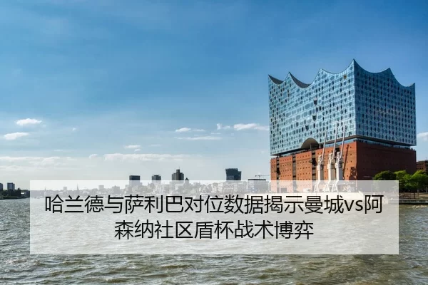 ha-lan-de-yu-sa-li-ba-dui-wei-shu-ju-jie-shi-man-cheng-a-sen-na-she-qu-dun-bei-zhan-shu-bo-yi-2-518.jpg
