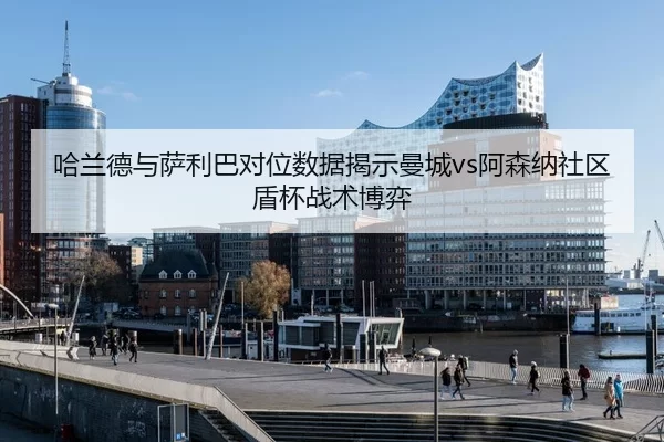 ha-lan-de-yu-sa-li-ba-dui-wei-shu-ju-jie-shi-man-cheng-a-sen-na-she-qu-dun-bei-zhan-shu-bo-yi-3-584.jpg